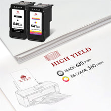Lade das Bild in den Galerie-Viewer, Canon 540 541 ink Cartridge -2 Pack