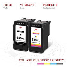 Load image into Gallery viewer, Canon 545XL 546XL ink Cartridge - 2 Pack

