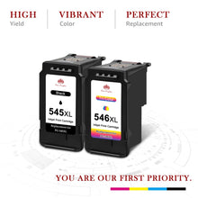 Lade das Bild in den Galerie-Viewer, Canon 545XL 546XL ink Cartridge - 2 Pack